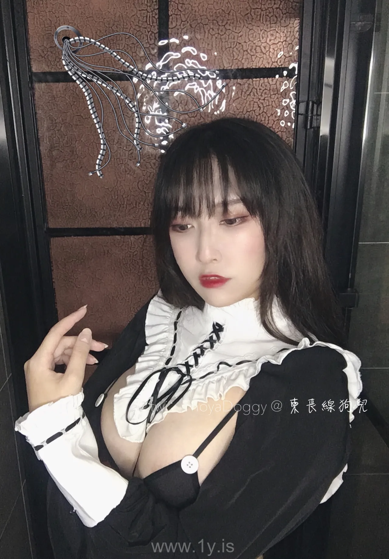 奇行家狗崽 NO.02 黑白无相